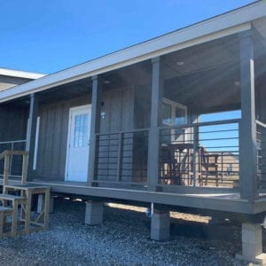 Athens Champion- APH 523