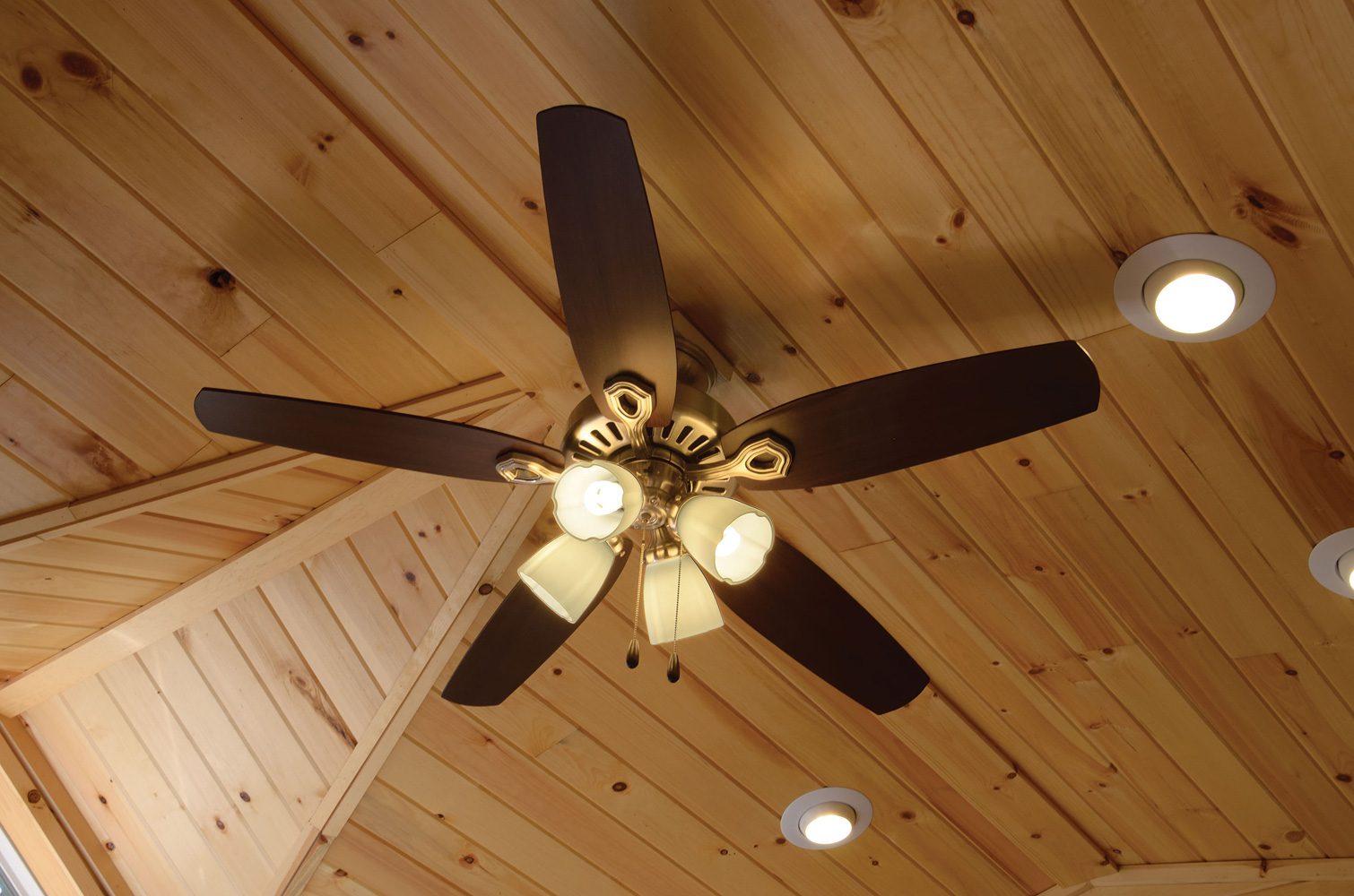 APC-DSC_4867_ceiling_fan
