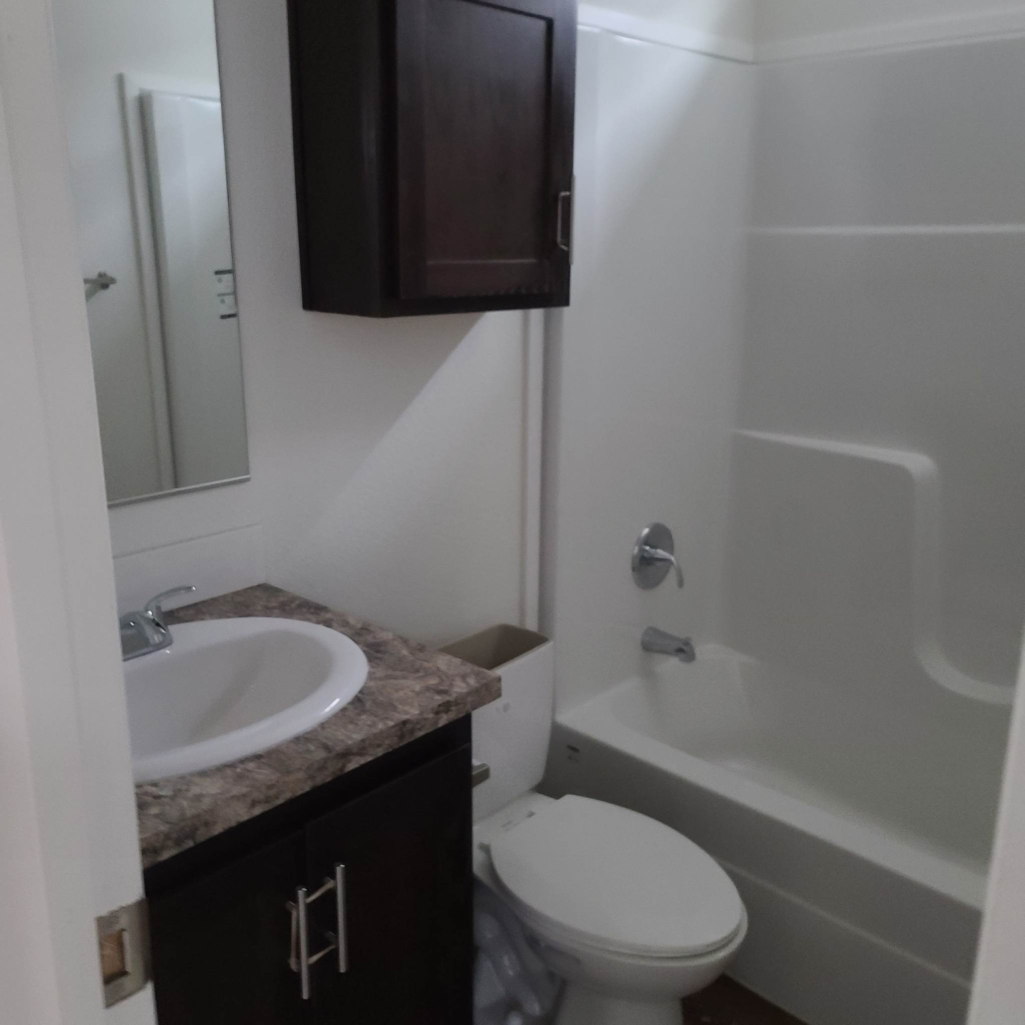 skyline tan 4511 (4)